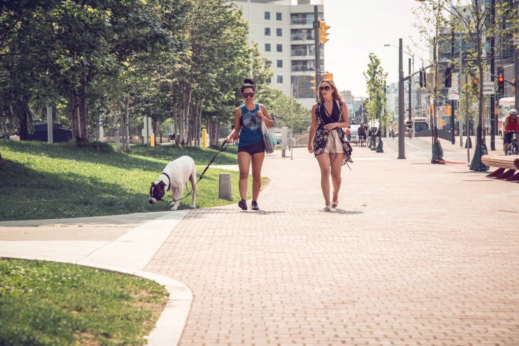 two women walking dog through harbour front park