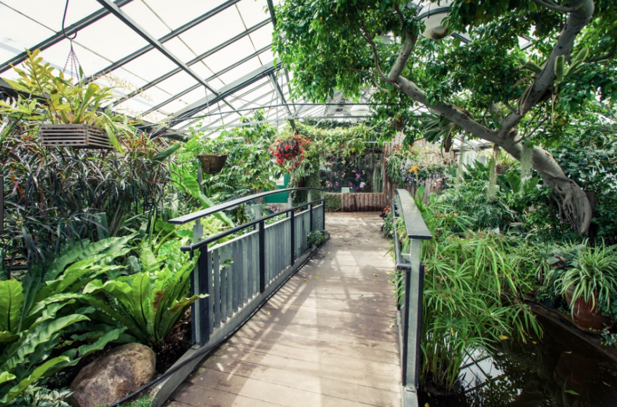 Bridge in Allen Gardens Conservatory 