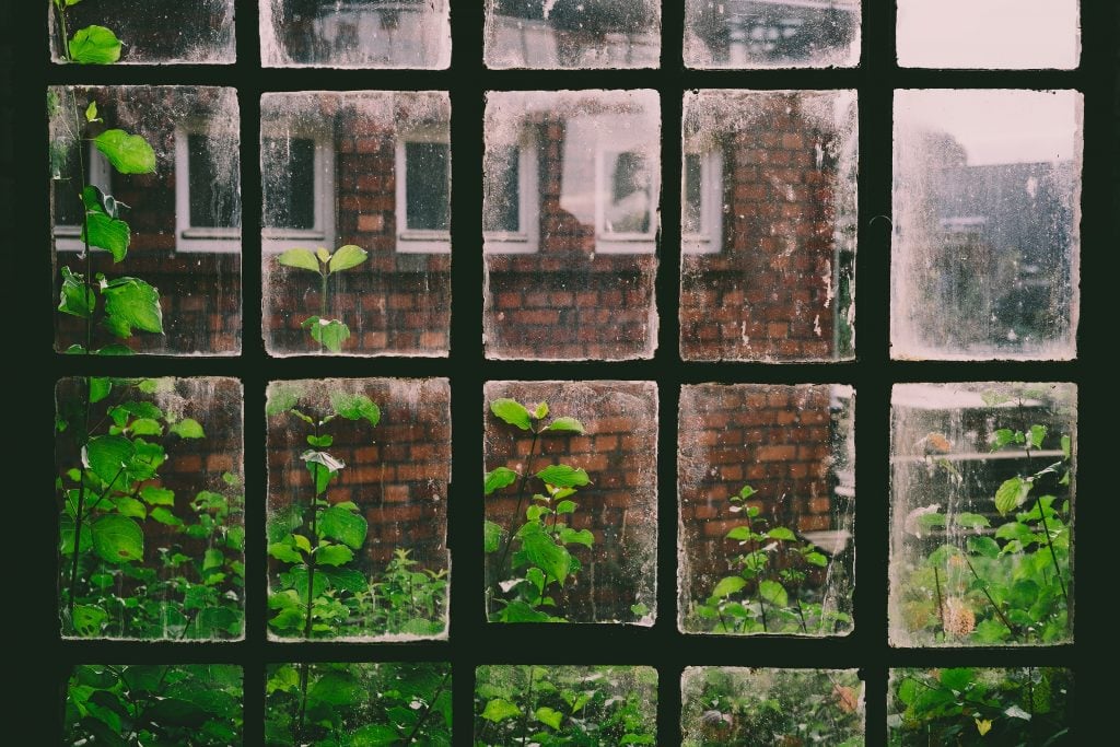 view of opposite apartment through window with green plants on bottom and sides