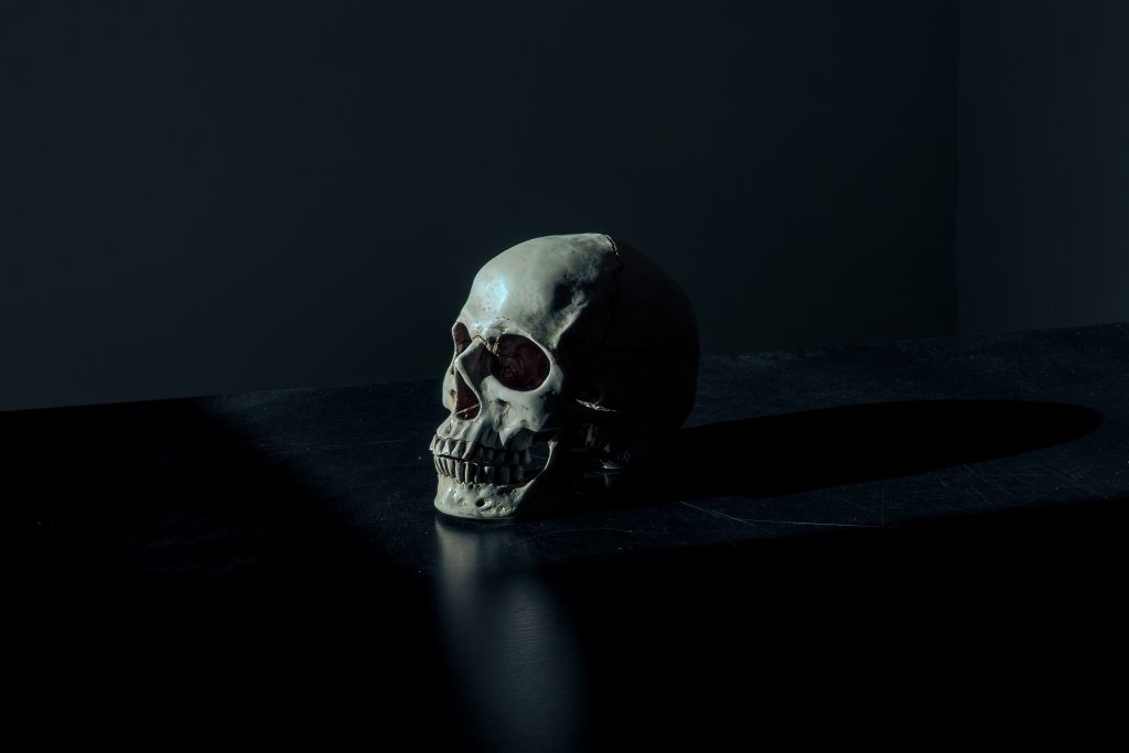 skull on black background with dramatic lighting 