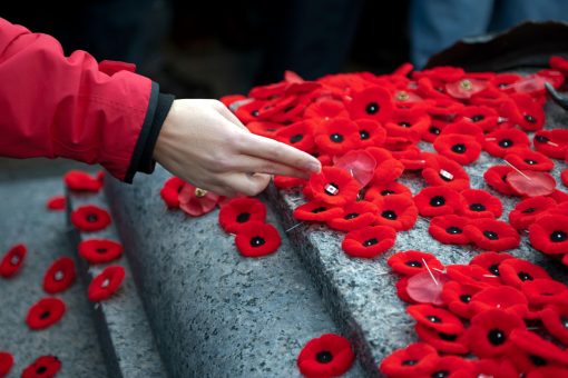 How to get involved with Remembrance Day in Toronto