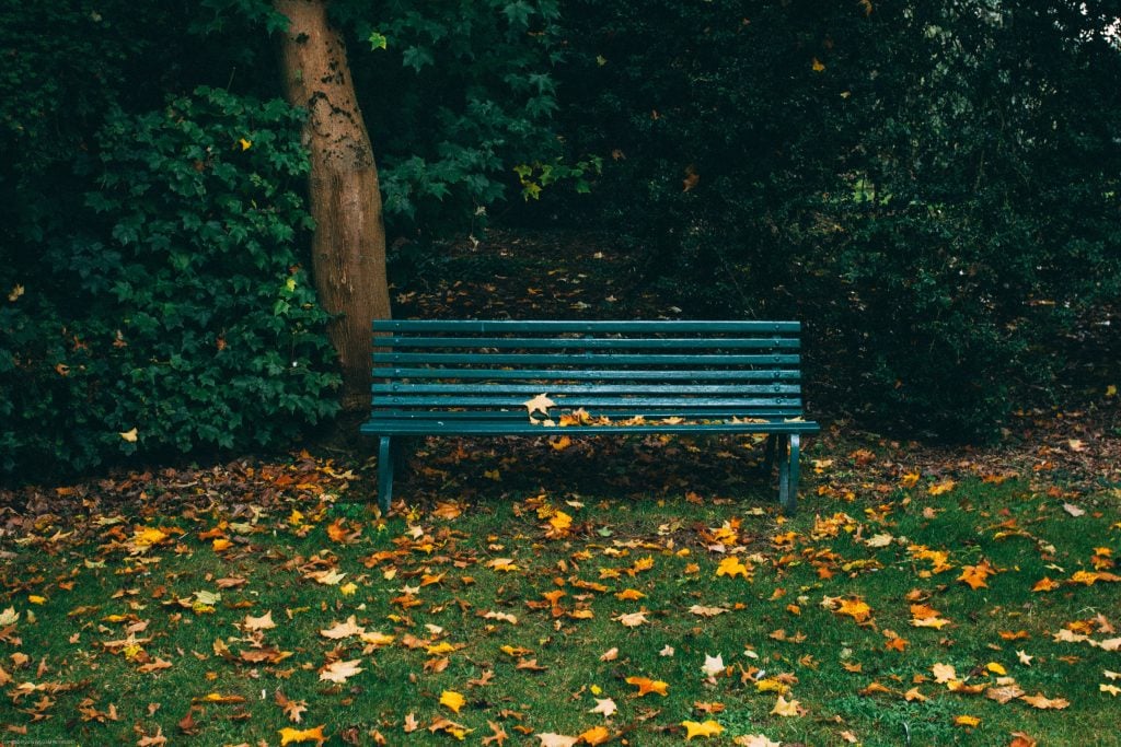 park bench during fall with leaves on ground